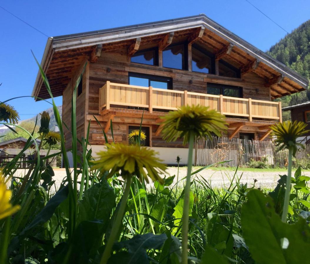 Chalet Le Petit Nicolas, Jacuzzi, Vue Mont Blanc Chamonix Dış mekan fotoğraf